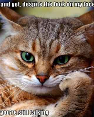 iKomedy's profile picture. I follow back! Follow me for funny tweets!