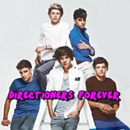 Twitter da página Directioners Forever ( http://t.co/02ohBZul )