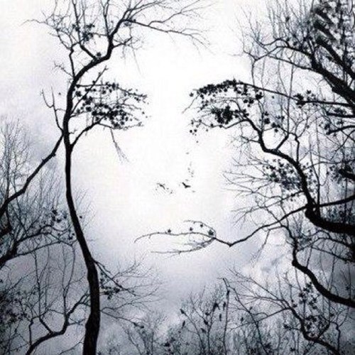 Mellow, sarcastic, blatently honest, love me or hate me, it's not going to change me.....