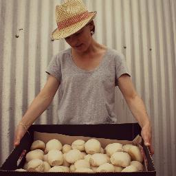 TheShadyBaker's profile picture. farming, baking bread and blogging