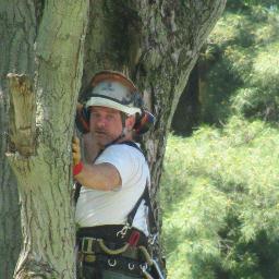 Owner/ operator of williams tree Service. 30 years experience. Here for all your tree service needs.