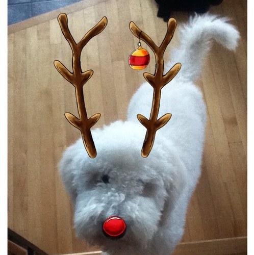 tipsforguys7983's profile picture. Heres some tips for all you assholes who dont know how to treat a girl right.