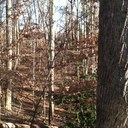 paul locklear - @running_wolf716 - Twitter