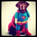 aidan page - @aidan_page - Twitter