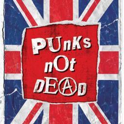 Anarchy is the true nature off all things ! PUNK NOT DEAD !