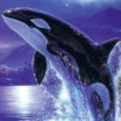最近、ウォーキングをしています。
#followme
#フォロミー
#相互フォロー
#相互フォロー100
#フォロバ100
#フォロバ