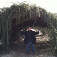 Kevin (@ktf622) 's Twitter Profile