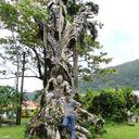 peter sequeira - @petersequeira1 - Twitter