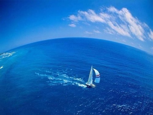 海さんのプロフィール画像