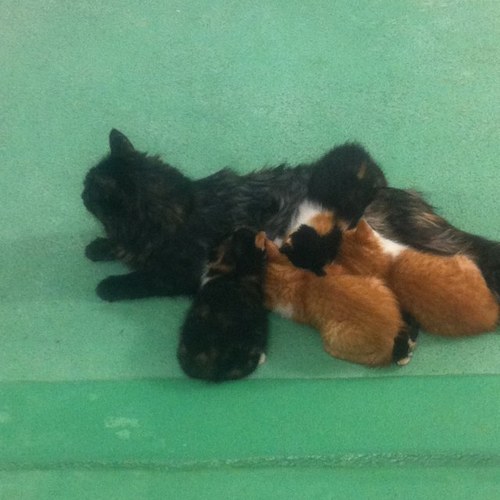 dairyboss2's profile picture. 