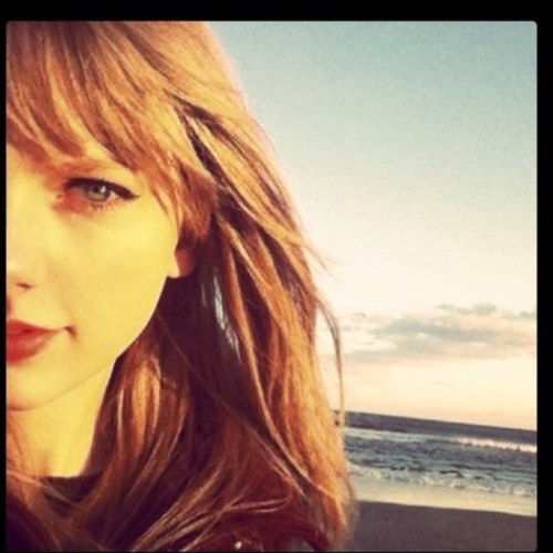 Taylor Is My Fearless Hero 3