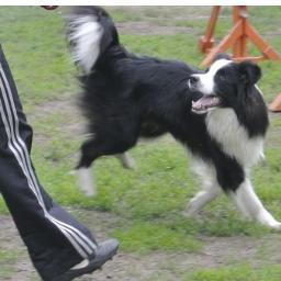 ZooReutov's profile picture. Зоомагазин, интернет магазин в Новокосино и Реутово, помощь и консультации в содержании животных. Скидки членам группы http://t.co/NQNC8dvr