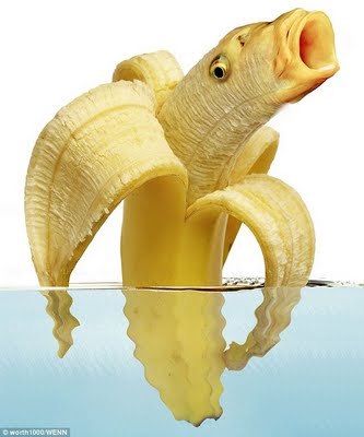 BananaFishTM is a movie group of people uploading a clip every werk