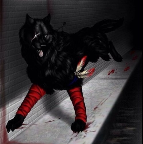 Know to be gothic, but I'm Yin twin brother. The Wolf, she tiger. My parents are @TheninjaBlood and @Theninjastalker . We time travel alot. DM for more info....