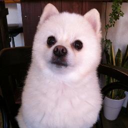 ReimageKAZU's profile picture. hairsalon alma です カット・カラー・パーマ・顔そり・頭皮ケア・ヘアセットは当店へ！