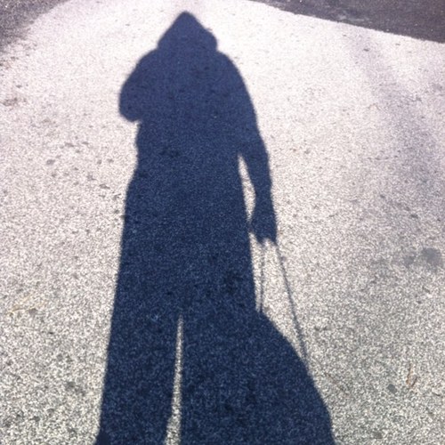 HakaOfficial's profile picture. Il mondo secondo me