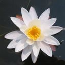 madeleine ryan - @madelei85030349 - Twitter