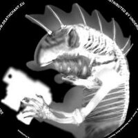 DjHELLFISH (@djhellfish) 's Twitter Profile