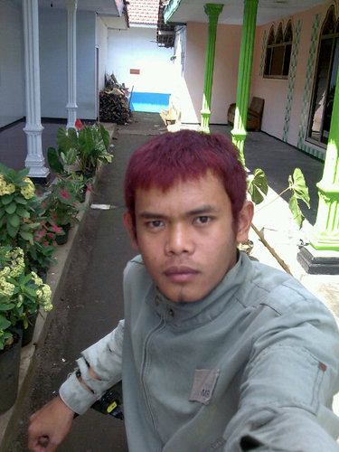 #calon PNS