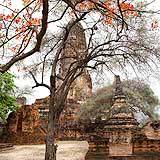 hendralauw's profile picture. A father of one, a husband of one and a photographer at http://t.co/JnN3cR2anj and http://t.co/LjFrsLY8GM