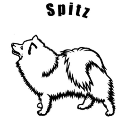 masala_chai5202's profile picture. 