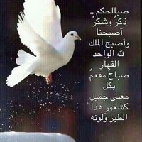 Ali Alamoodi (@one_and_lonly) Twitter profile photo