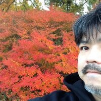 かどしん (@kadostepone) 's Twitter Profile