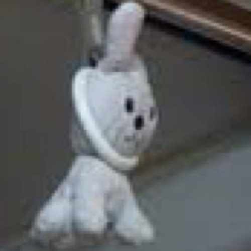 ただのユタカ