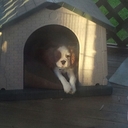 Amanda Said - @Amanda80K - Twitter