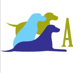 La grandeza de una nación y su progreso moral puede ser juzgado por la forma en que sus animales son tratados. (Gandhi) Rehabilitación animal. Clínica general.
