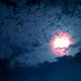 bobbora (@bobbora) Twitter profile photo