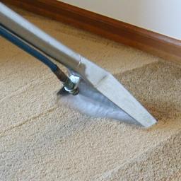 Affordable prices and professional Carpet Cleaning Cleaners in Manchester. Contact us on 0161 247 8699.