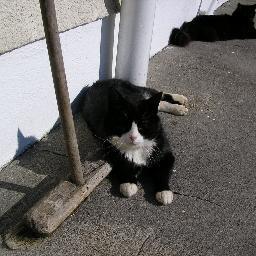 delarivier's profile picture. Bemused observer of a world in a state of chassis.