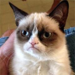 I'm a super grumpy cat, if you don't like that, then I don't care. #TeamGrumpy http://t.co/XW8scEy9