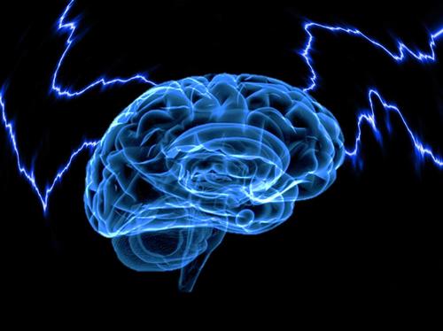 Omni Brain with obscure slant on reality!
#fbpe Does not suffer Fools, Tories or People who break their word! @theallknowinghead.bsky.social