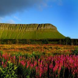 fergalbenson's profile picture. 