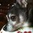 Dayton_s's profile image