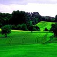 Heaven never helps the man who will not act.-Sophocles