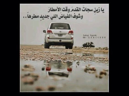 sasref12's profile picture. 