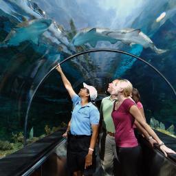 We specialize in cheap Orlando vacation packages
