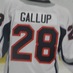 Larry Gallup (@larrygallup) Twitter profile photo