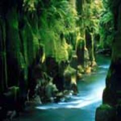 Thinking should become your capital asset, no matter whatever ups and downs you come across in your life.-Abdul Kalam