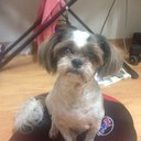 노창윤 - @Bing_Ji - Twitter