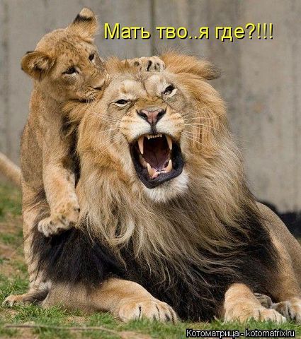 Курсові, контрольні, реферати для студентів!