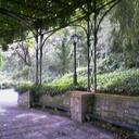 Jane Ayre - @ayrejane - Twitter