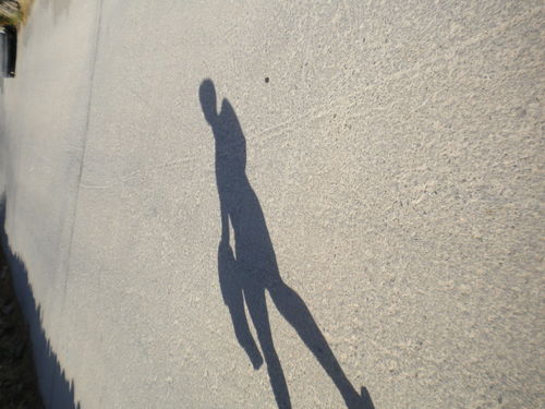 Swampo90's profile picture. 