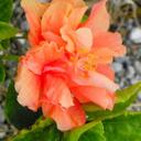 Wanda Christensen - @wanda773 - Twitter