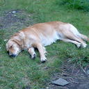 dave jamieson - @davejamieson999 - Twitter