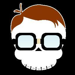 Software Developer