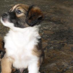 garcia_ss's profile picture. student,likes reading ,going to movies and listening to music